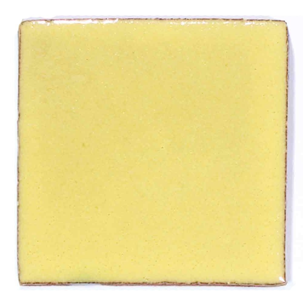 Primrose yellow 10.5 x 10.5cm